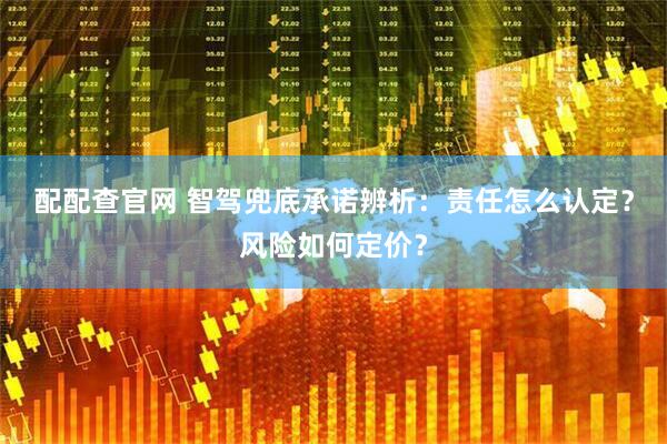 配配查官网 智驾兜底承诺辨析：责任怎么认定？风险如何定价？