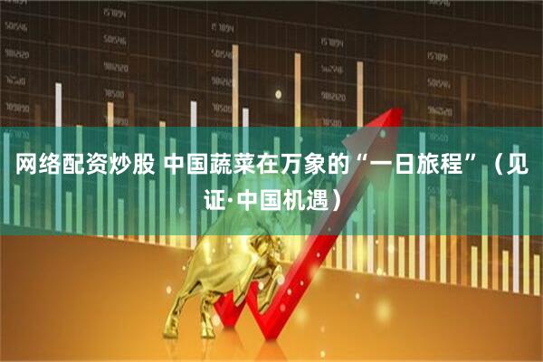 网络配资炒股 中国蔬菜在万象的“一日旅程”（见证·中国机遇）