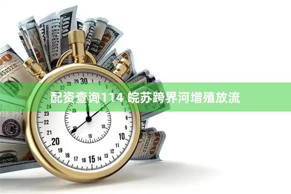 配资查询114 皖苏跨界河增殖放流